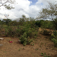 Future site of the Gigante Community Health Center
