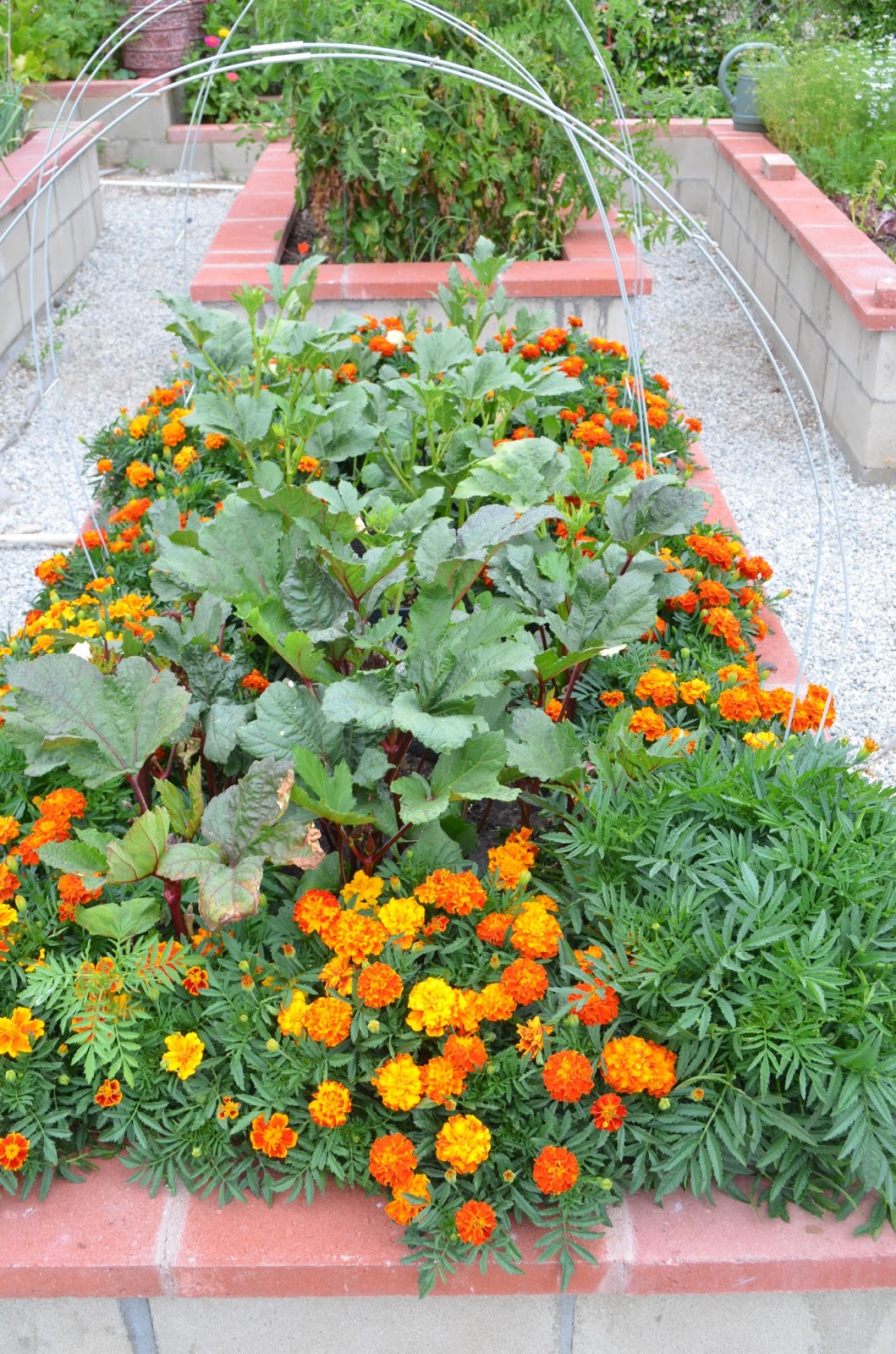 Entertaining From an Ethnic Indian Kitchen Kitchen garden tour