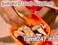 nannari root juice preparation in tamil nannari benefits in tamil, nannari root juice, nannari root health benefits, nannari syrup preparation