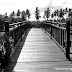 Are You Afraid of Crossing The Bridge?