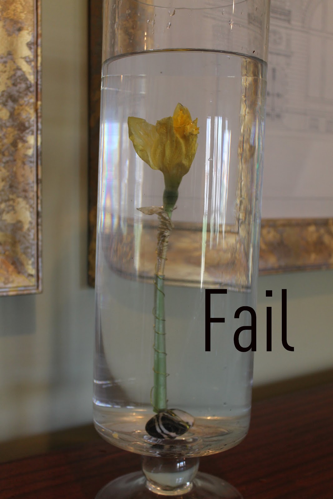 Submerging Flowers Miss Kopy Kat