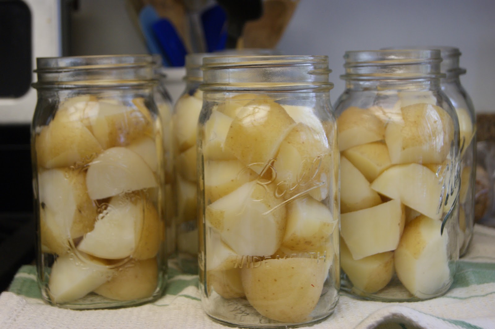 Canarella Pressure Canning Potato's