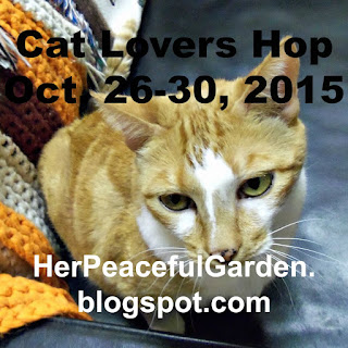 http://herpeacefulgarden.blogspot.com.au/2015/10/winner-and-biggggggggg-announcement.html