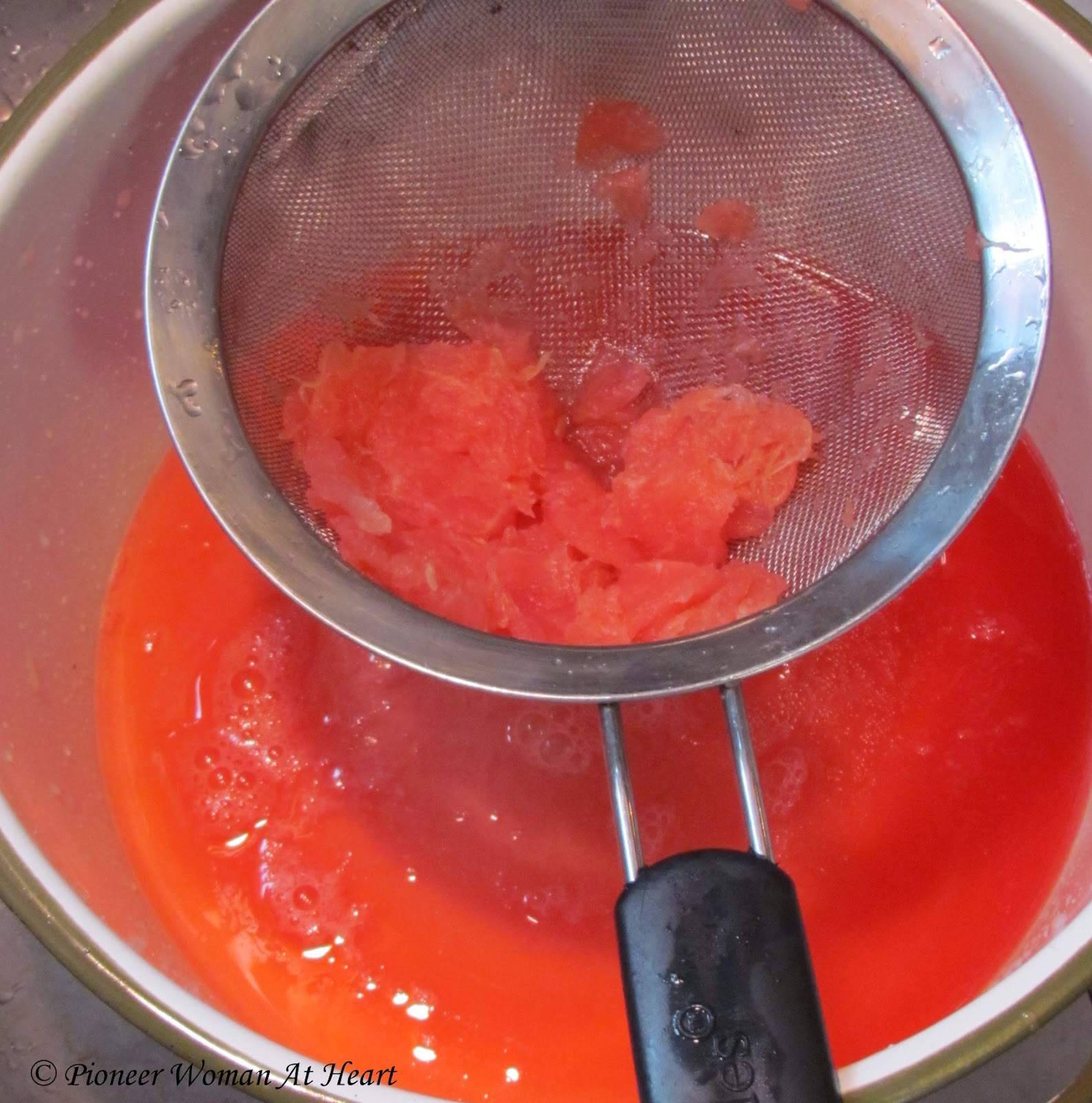 Pioneer Woman at Heart Watermelon Jelly and Watermelon Fruit Leather