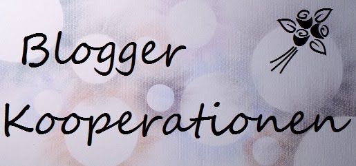 Blogger Kooperation