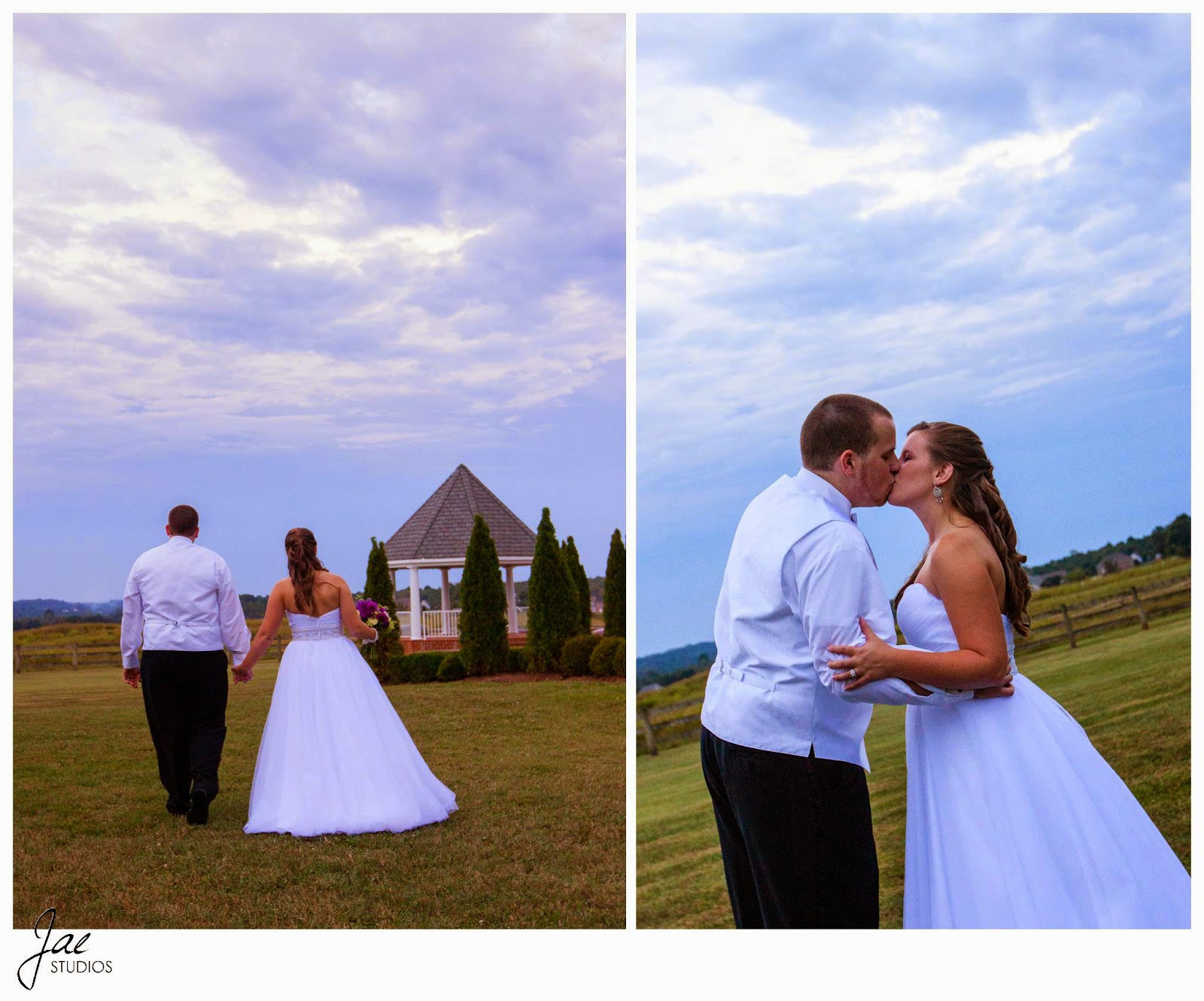 Jonathan and Julie, Bird cage, West Manor Estate, Wedding, Lynchburg, Virginia, Jae Studios, kissing, sky, grass, walking, wedding dress, tuxedo, bride, groom, holding hands