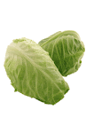 Lechuga