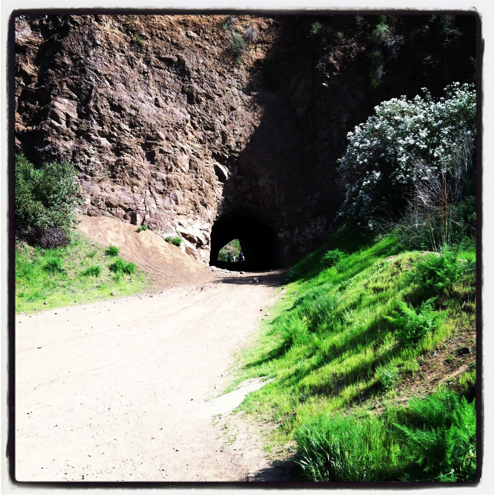 Highlights of a Celebrity Hair Stylist in Hollywood Directions to the