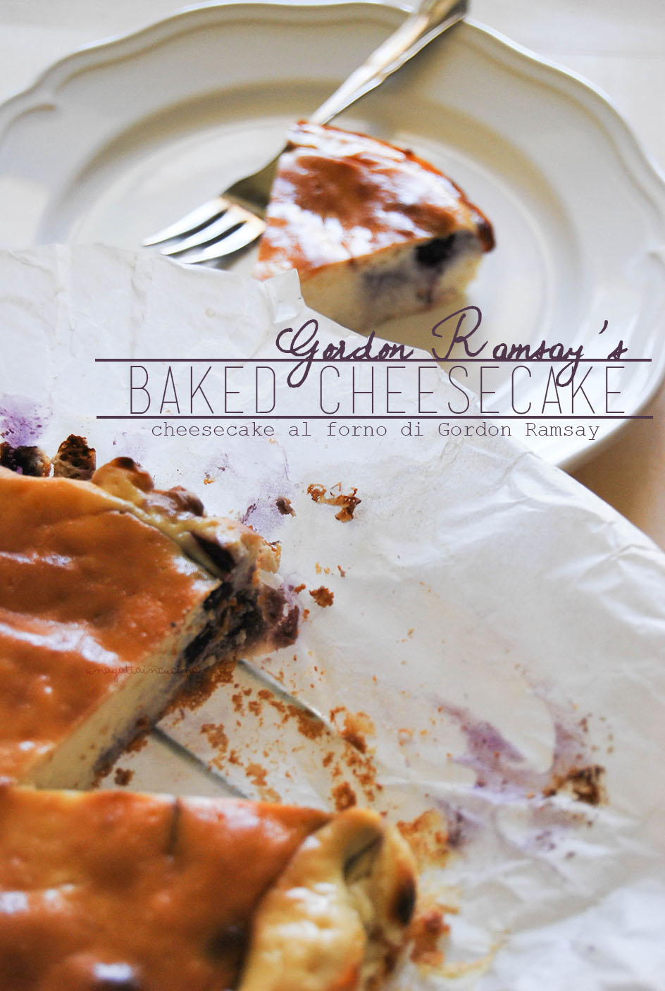 Una gatta in cucina Baked Cheesecake di Gordon Ramsay