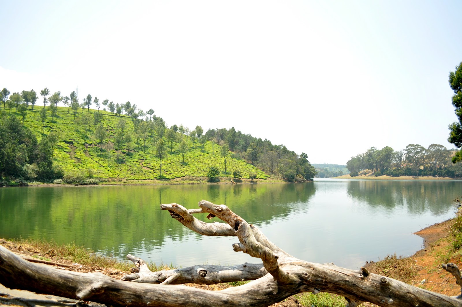 15 Best Ooty Honeymoon Places With Pictures Styles At Life