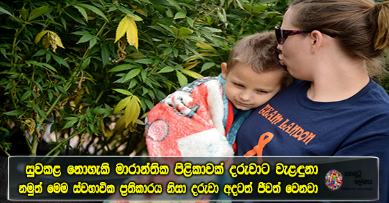 Share