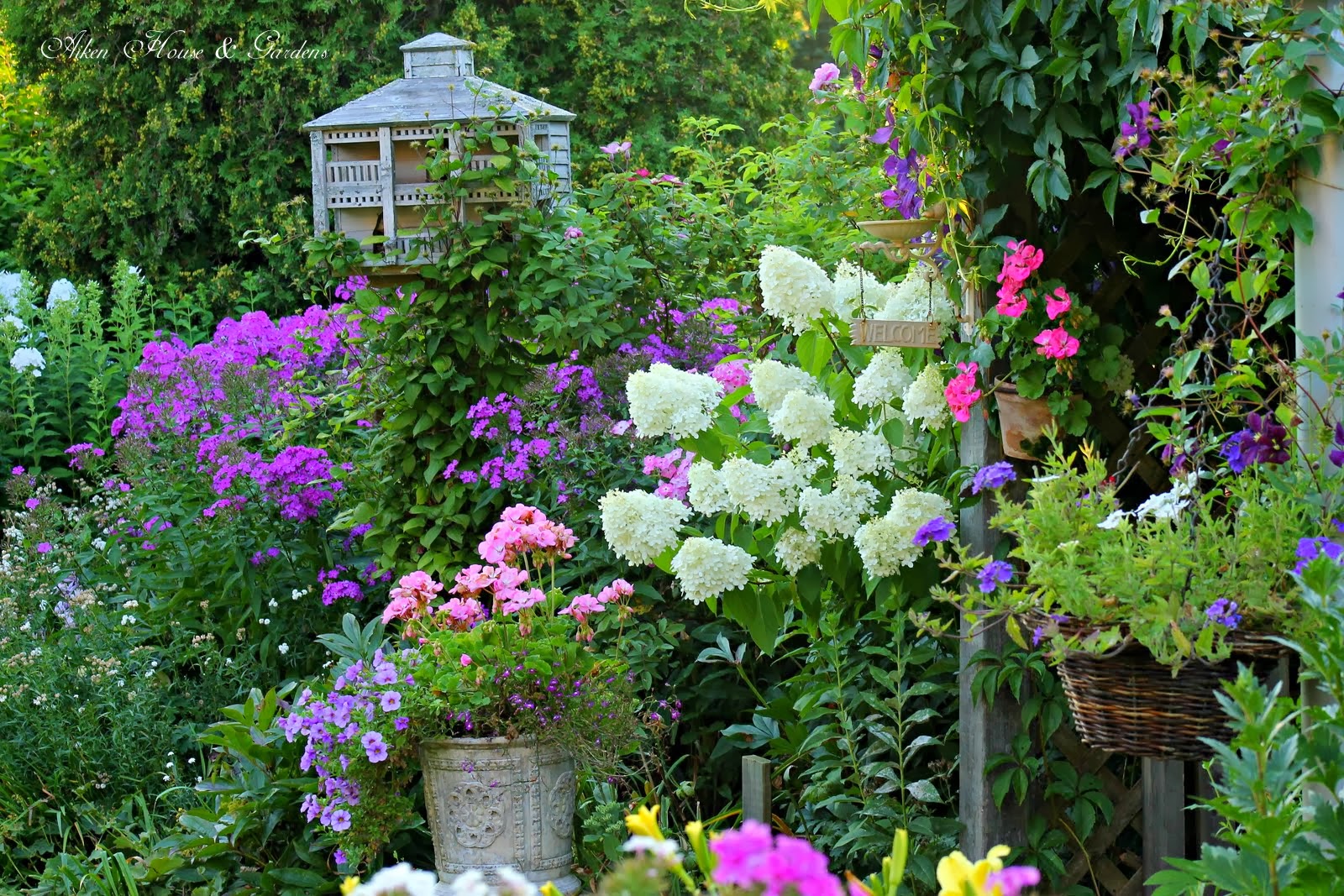 Hello I M Back Lets Catch Up On Summer In The Nursery