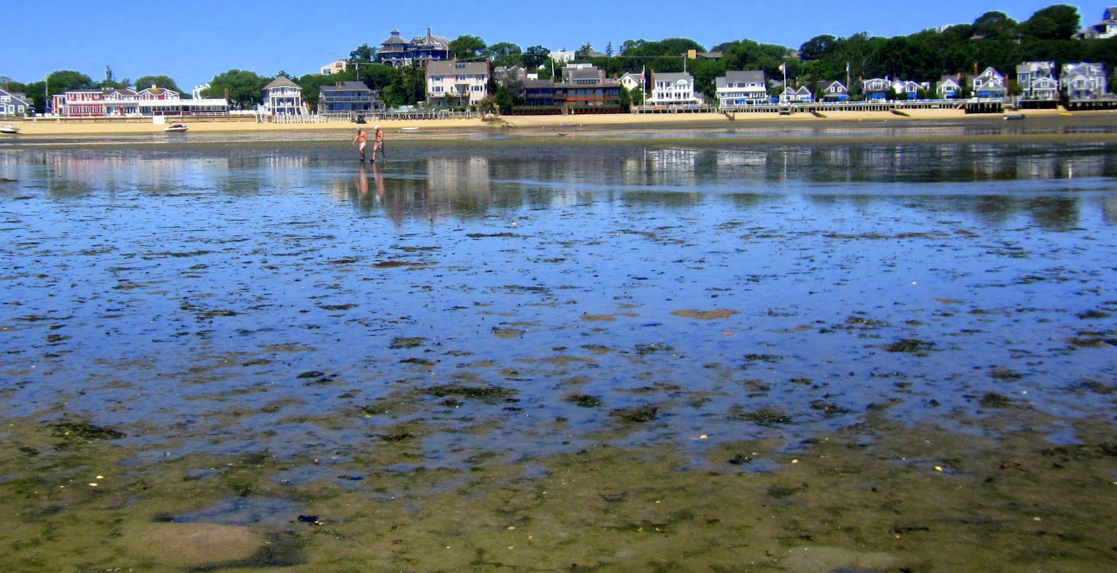 Provincetown Low Tide Joe.My.God.