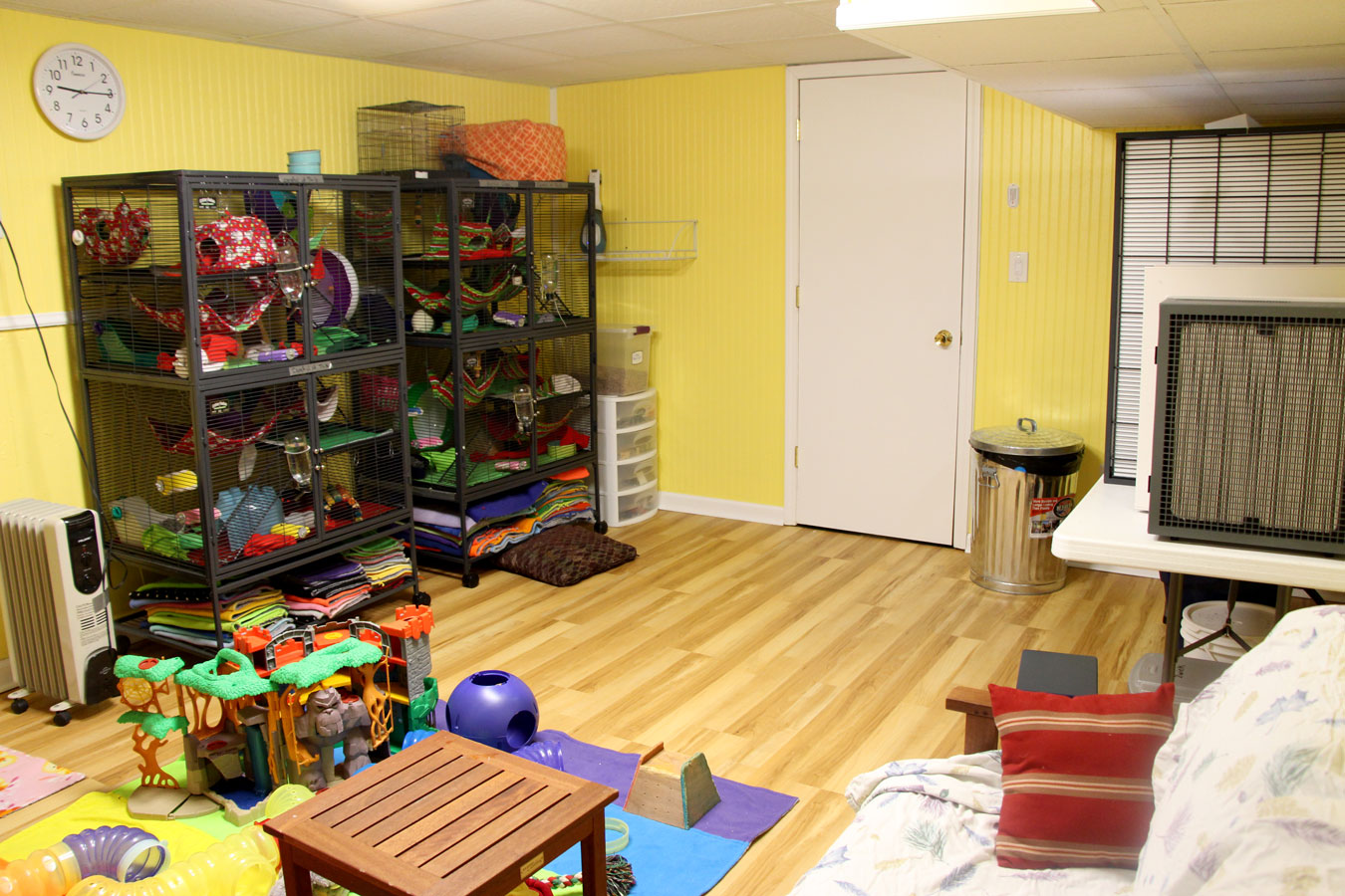 Ratropolis The Rat Room Remodel