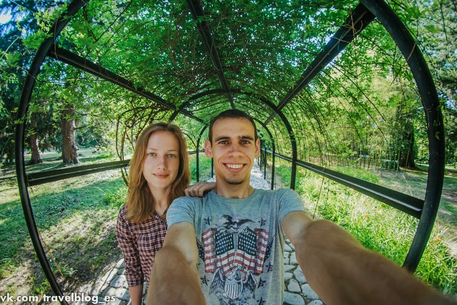 Аллея Аллея