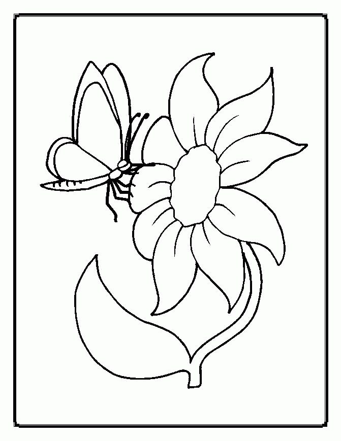 Kids Page: - Pictures Of Flowers For Kids 2014 Coloring Pages