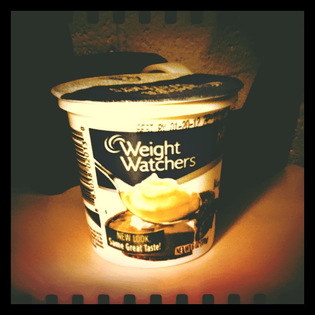 One Sassy Momma Weight Watchers Yogurt