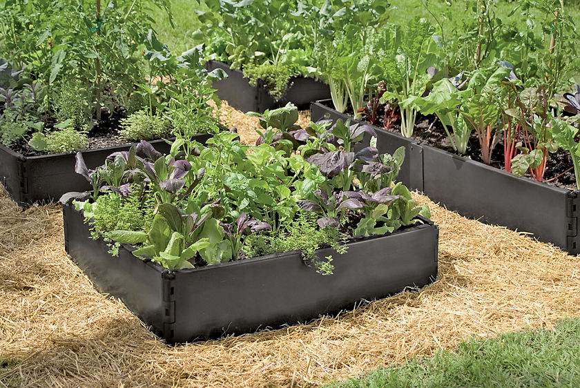 Canadian Country Woman Raised Garden Beds