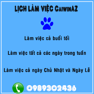 lich-lam-viec-cai-win-tai-nha-caiwinaz lich-lam-viec-cai-win-tai-nha-caiwinaz