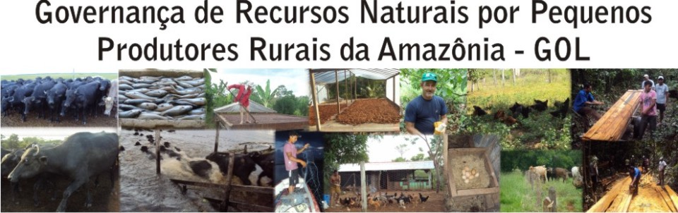 Governanaça de Recursos Naturais por pequenos Produtores Rurais da Amazônia