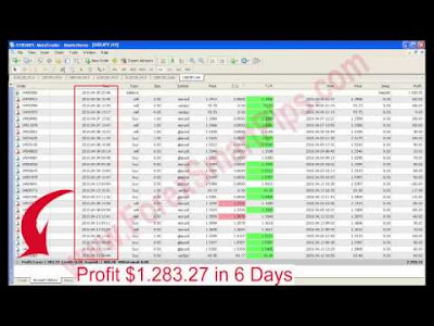 Forex expert advisor hedging scalper m5-h4 download