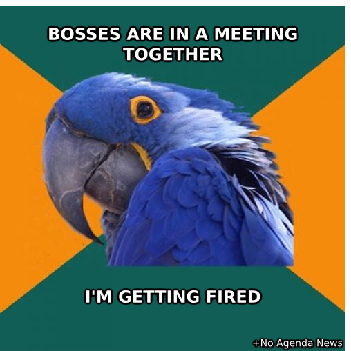 funny pictures and memes