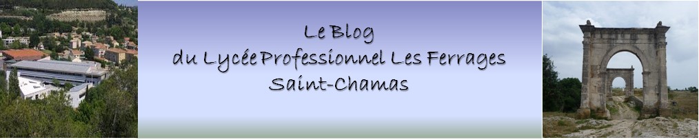 Blog du LP Les Ferrages - Saint-Chamas