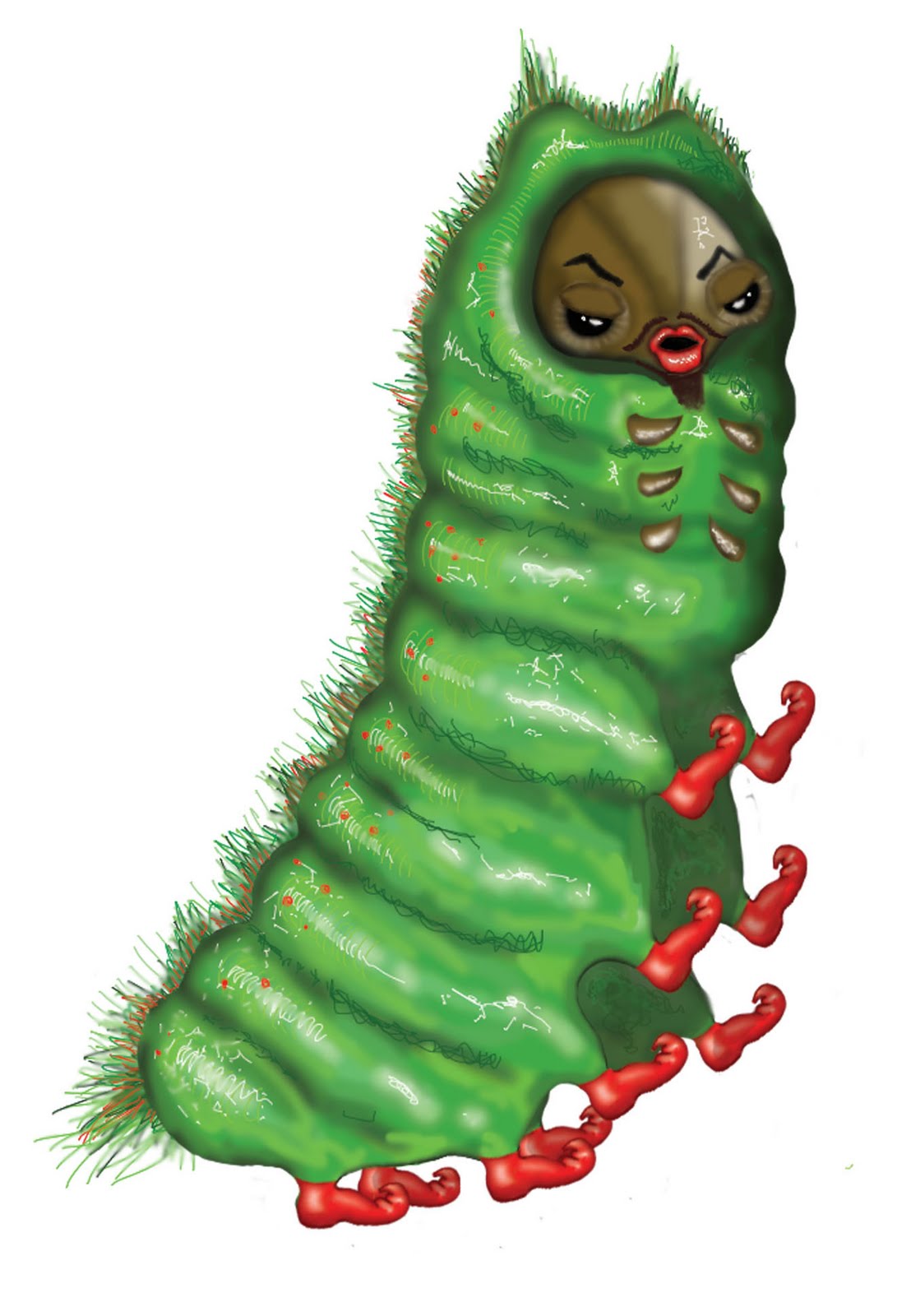 Victoria's interactive media experience: Caterpillar - Designing the ...