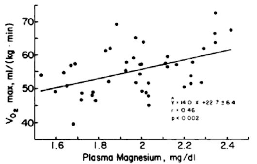 Magnesium Supplementation & its Potential Performance Effects: Study Finds Practically Relevant Improvements in 10k Times W/ 500mg per Day in Recreational Athletes