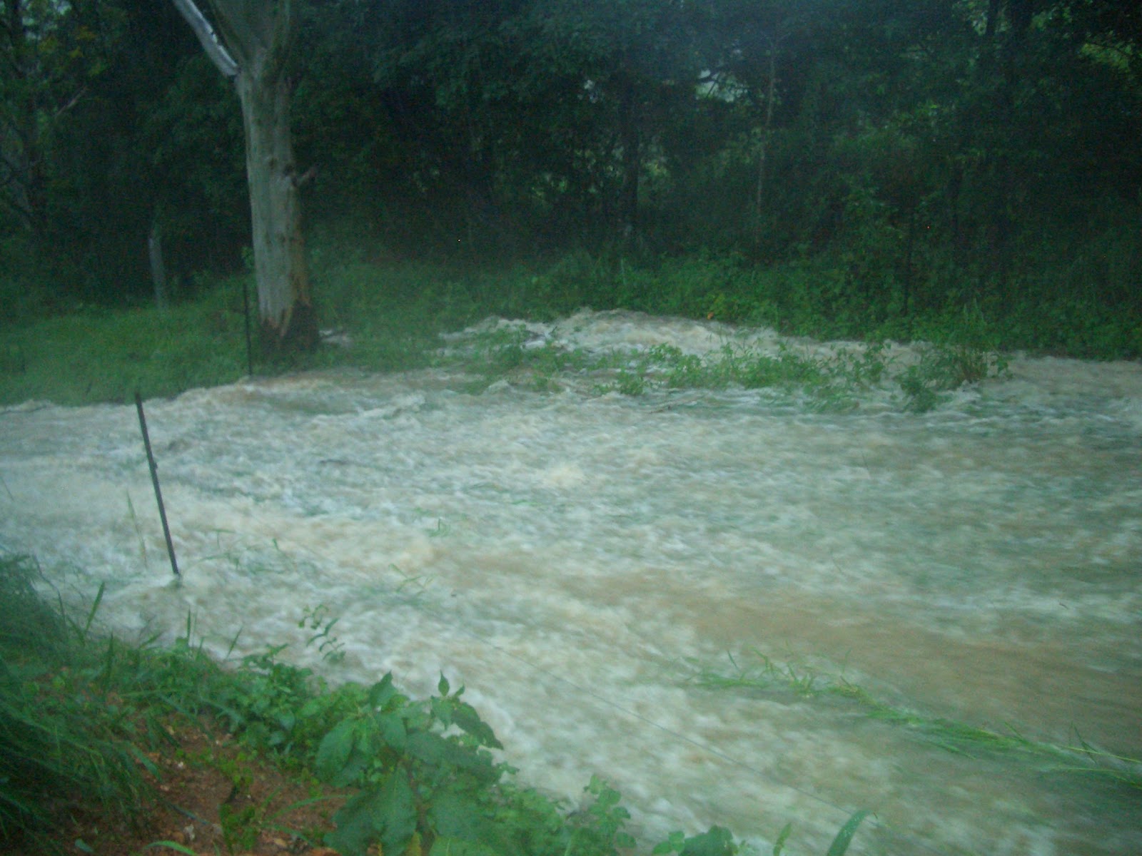 Overflow rapid over grass