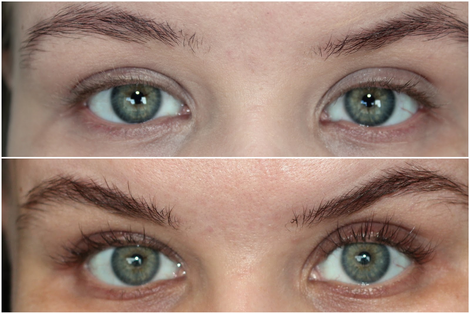 lilash before librow bottom