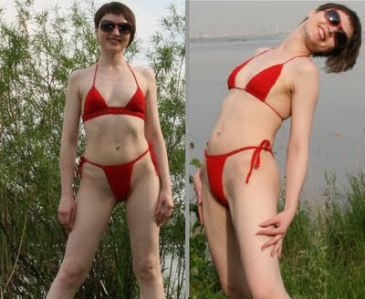 Схема вышивки мимозы Схема вышивки мимозы