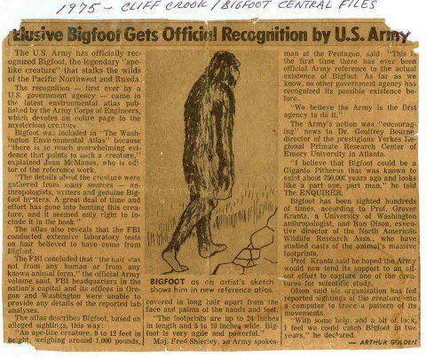 Sasquatch research association image