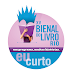 Bienal do Livro 2011