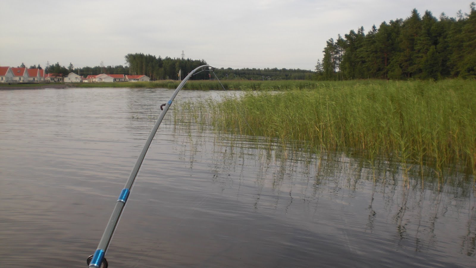 Välkommen FISKELYCKA ELLER INTE Välkommen FISKELYCKA ELLER INTE