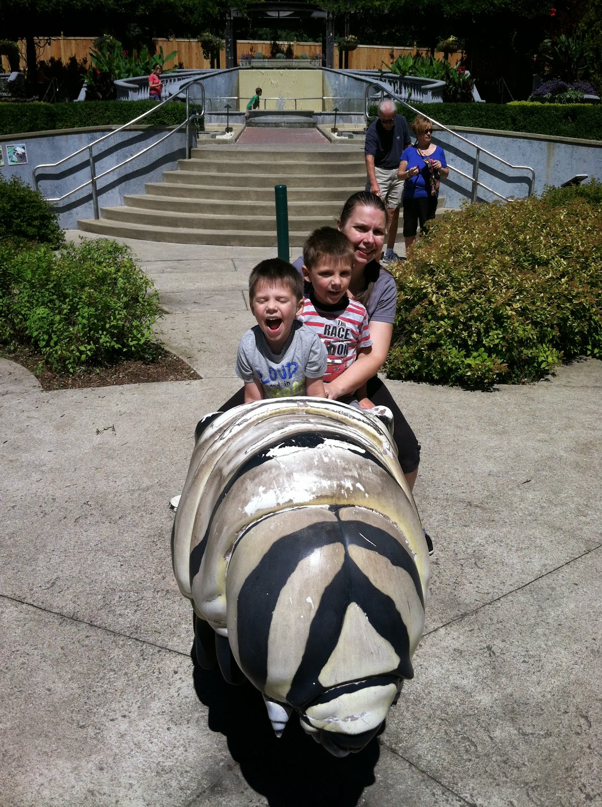 Midwest Family Food and Fun Adventures at the Akron Zoo!