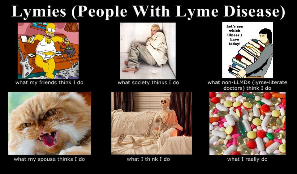 What Lymies Do