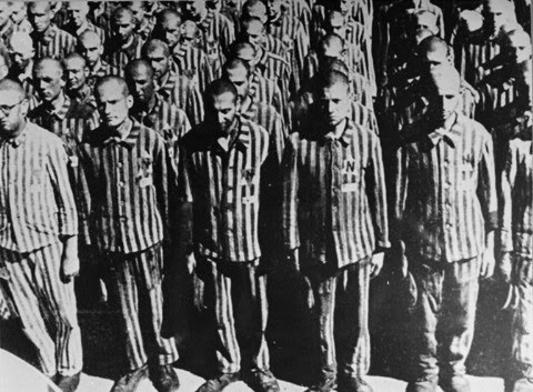 were concentration camps as brutal as No clean clothes were given out unless someone died and still those clothes were never washed labour camps were a brutal and concentration camps were. were concentration camps as brutal as No clean clothes were given out unless someone died and still those clothes were never washed labour camps were a brutal and concentration camps were.