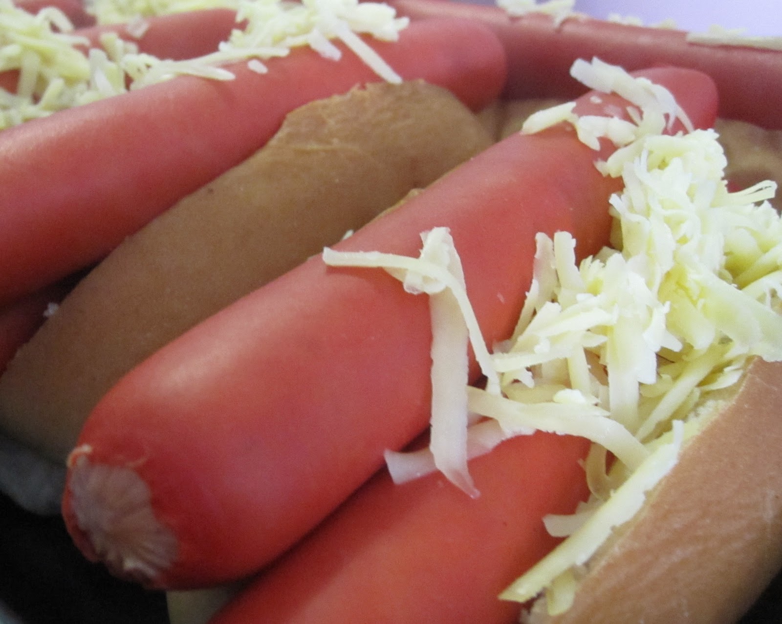 Cassadiva Picnic or Camping Lunch Tip Hot Dogs