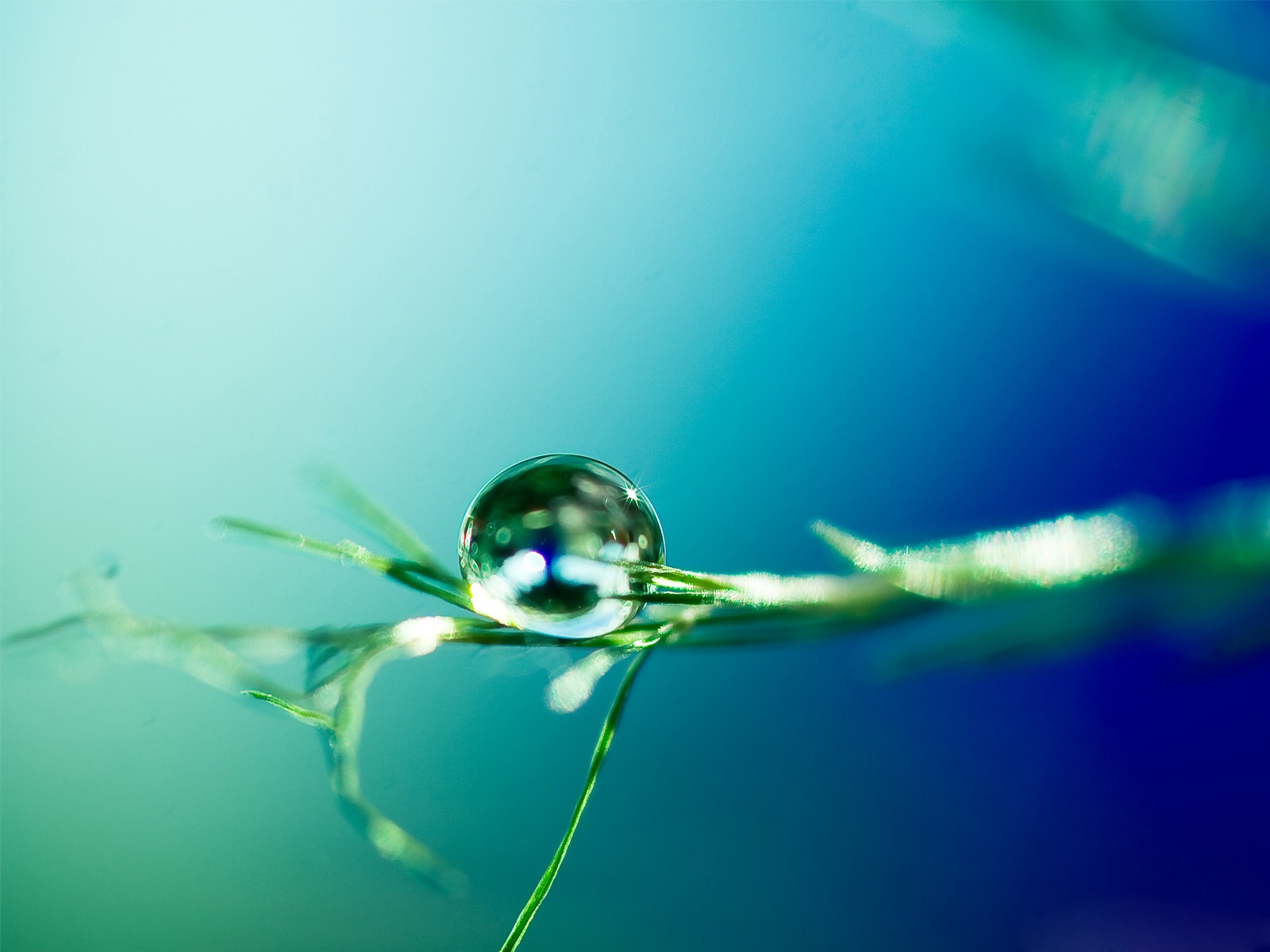 water droplet backgrounds