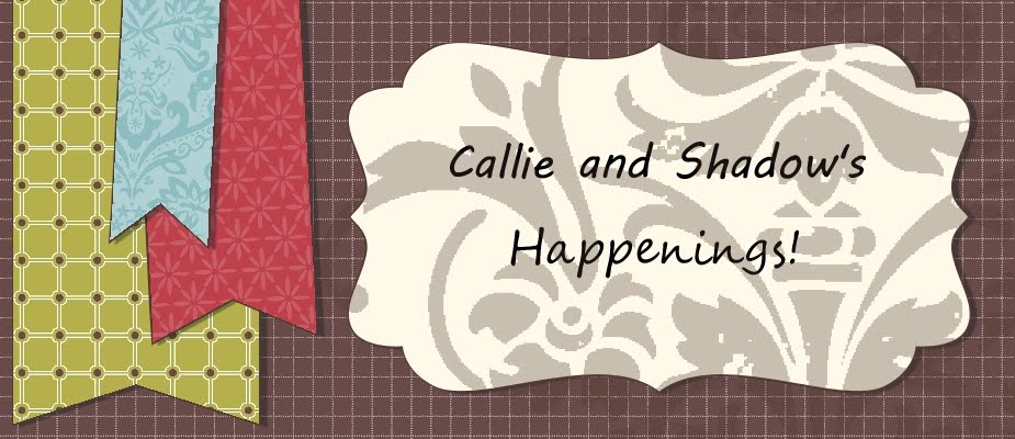 Callie & Shadow's happenings