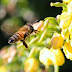 Bee Real: 6 Smart Strategies for when Kids are Scared Silly