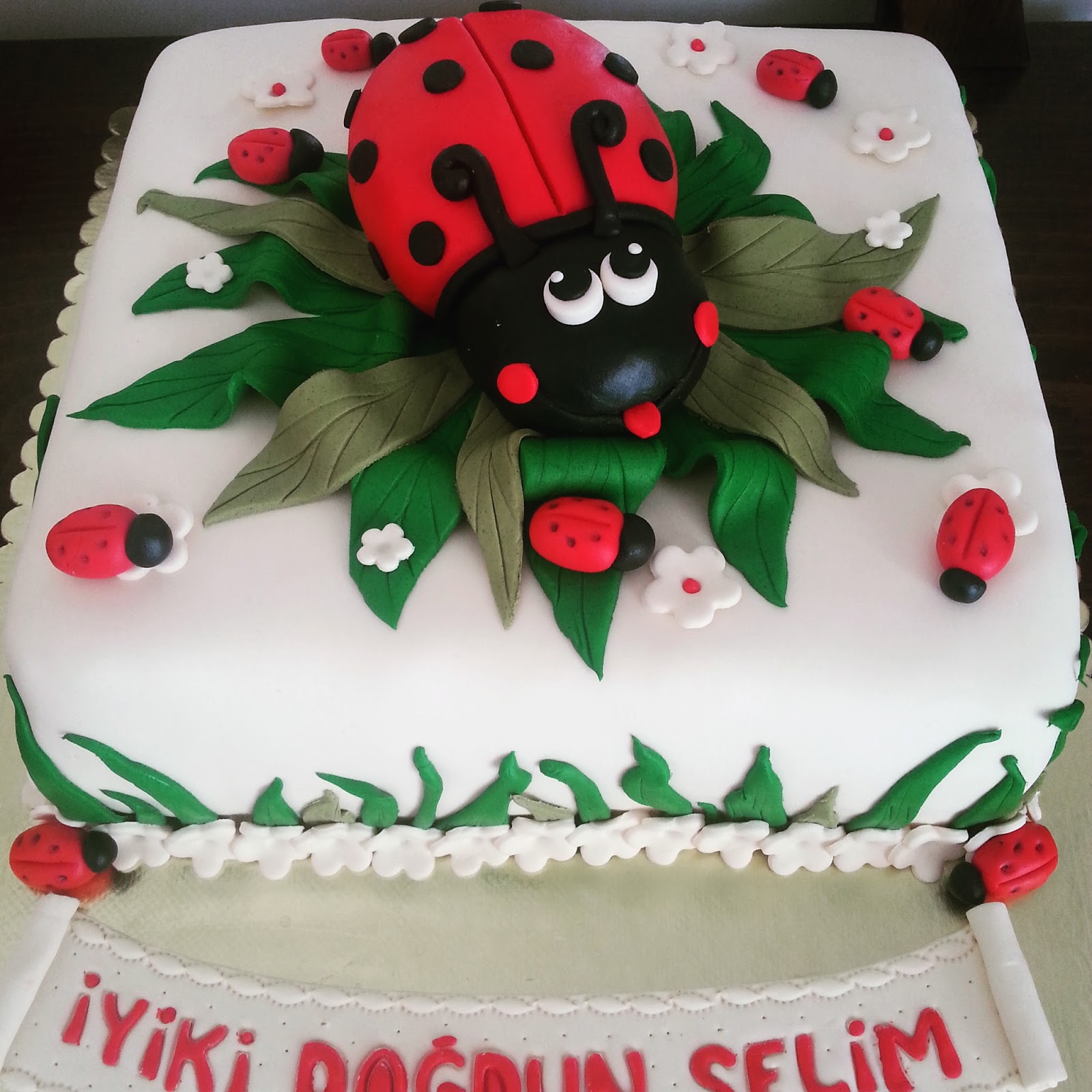 Uğur Böceği Pasta Uğur Böceği Pasta