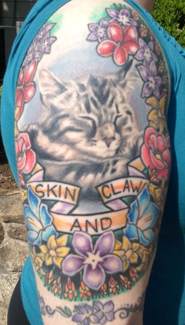 As Touched By His Story Everyone Else Because It Was Chosen To Be In Their Latest Collection My Cats Life Knows How Special Bucky As Touched By His Story Everyone Else Because It Was Chosen To Be In Their Latest Collection My Cats Life Knows How Special Bucky