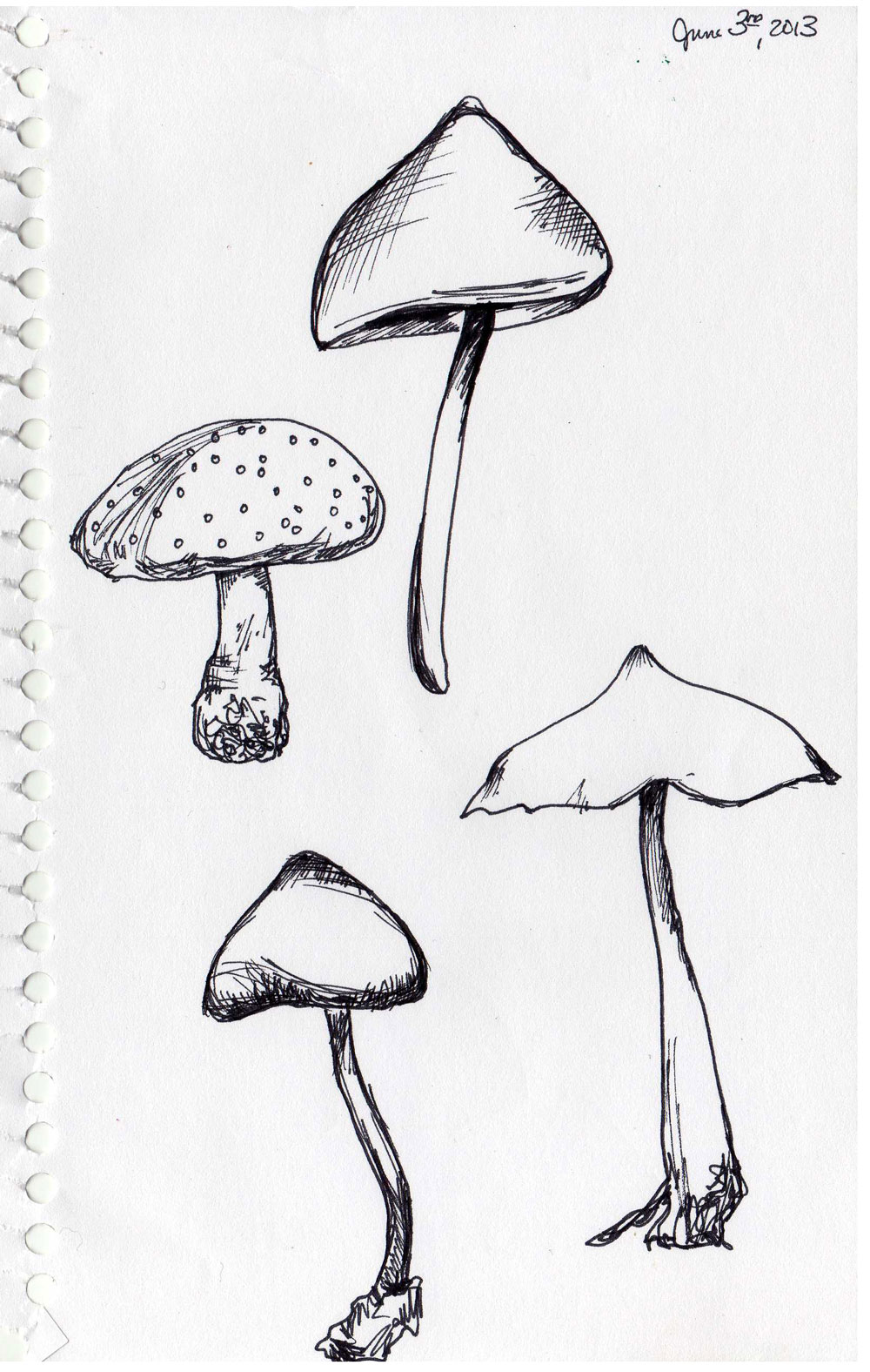 Cute Mushroom Sketch Drawing for Beginner