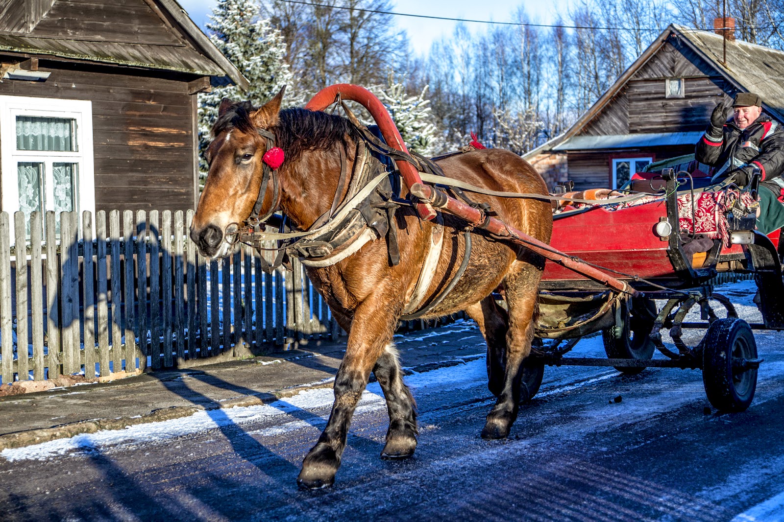 Gwiazdka w Puszczy - Ania w Podróży