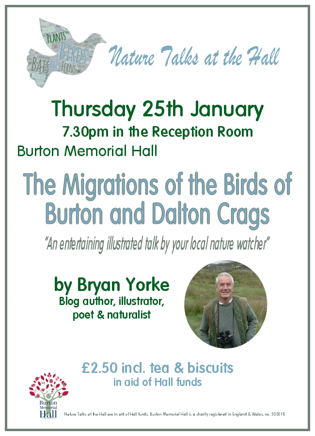 Birds of Dalton Crags and Hutton Roof