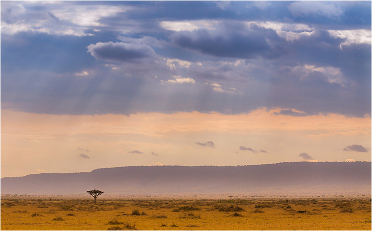 emerging photographers, Best Photo of the Day in Emphoka by Poulomee Basu, https://flic.kr/p/roYqBz emerging photographers, Best Photo of the Day in Emphoka by Poulomee Basu, https://flic.kr/p/roYqBz