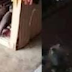 Video tular dakwa ulama bakal berhimpun, kemunculan Imam Mahdi