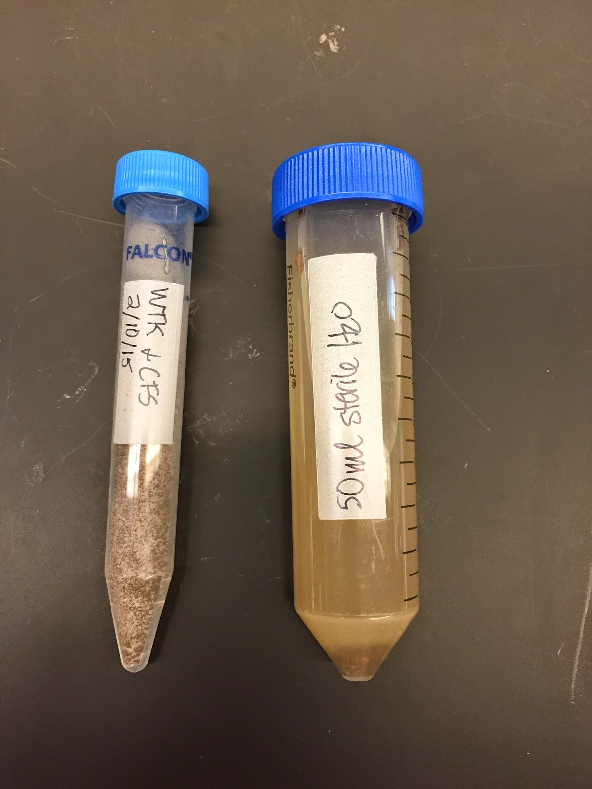 Soil Microbiology Soil Sampling